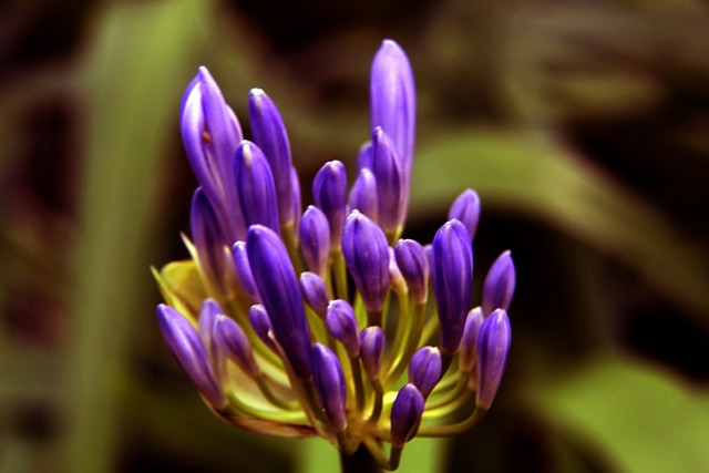 img1.png